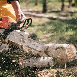 Logger using a chainsaw.
